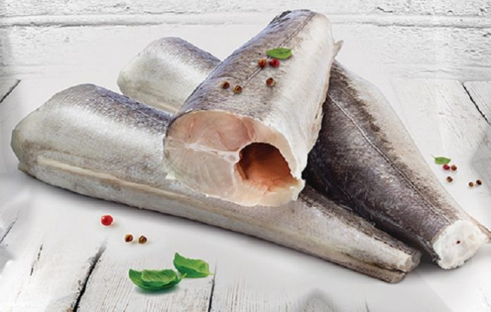 Oslić Hubbsi filet