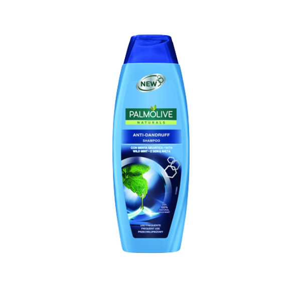 Šampon